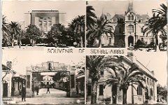 sidi bel abbes carte souvenir 